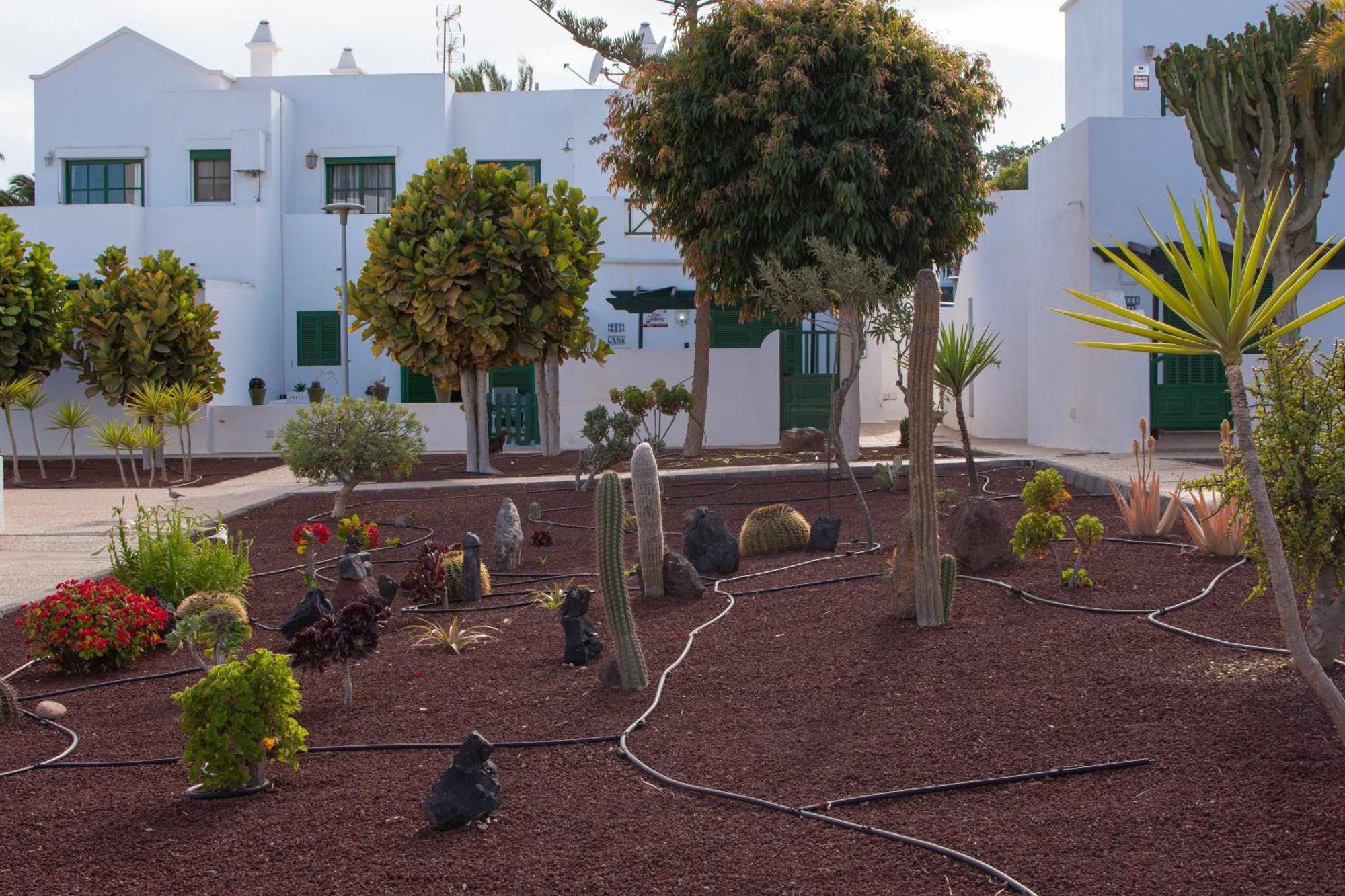 Casa Paz - Cozy 2 Bedroom Apartment Close To Dorada Beach Playa Blanca  Zewnętrze zdjęcie